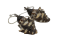 Boucles d'oreilles coquillage