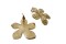 Boucles d'oreilles fleur de tiaré dorée