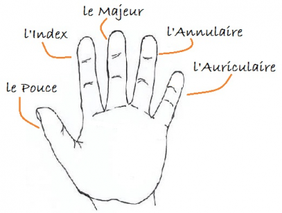 La signification du port des bagues en fonction du doigt choisi